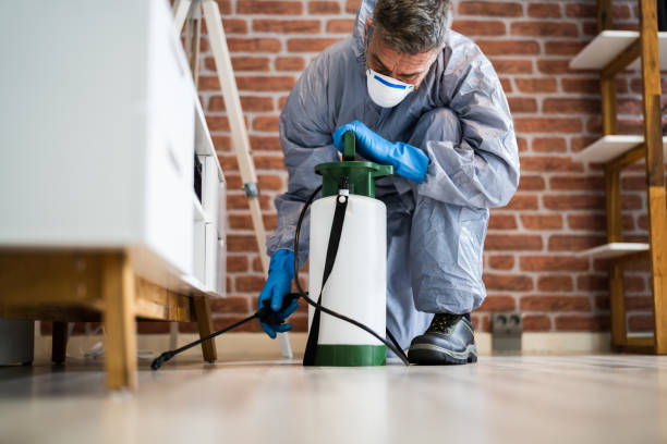 Best Pest Control for Multi-Family Homes  in Gorman, NC